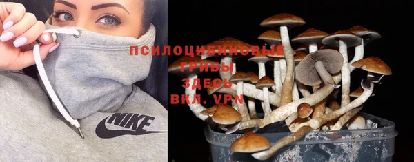 дурь Абинск
