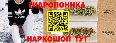 молекула духа Беслан