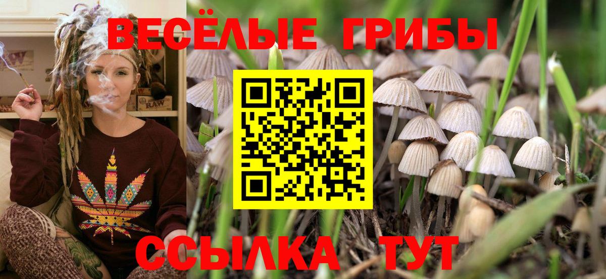 Псилоцибиновые грибы мухоморы Дербент