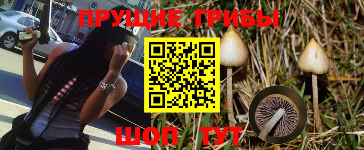 Псилоцибиновые грибы Magic Shrooms  Вход с VPN  Дербент 